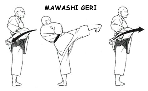 Mawashi Geri