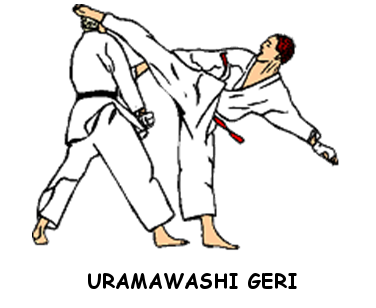 Uramawashi Geri