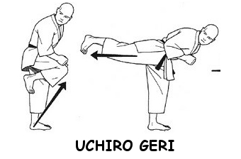 Ushiro Geri
