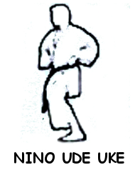 Nino Ude Uke