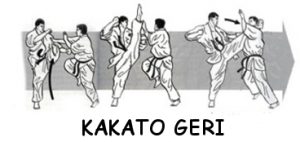 kakato Geri