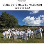 affiche stage karaté 2021 website