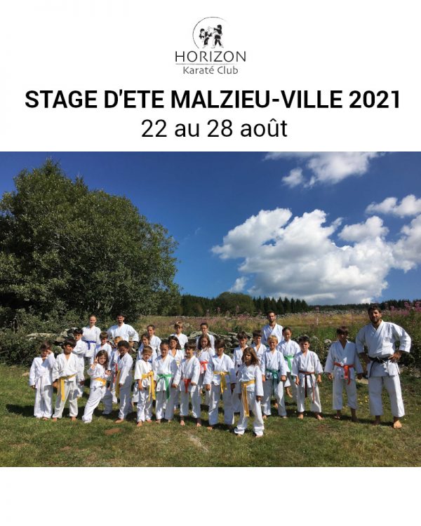 affiche stage karaté 2021 website